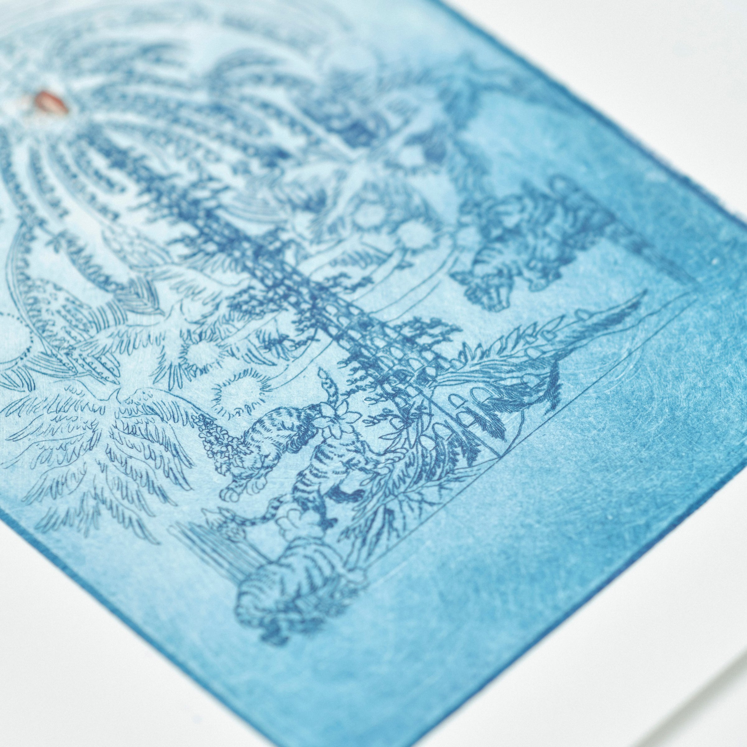 大小島真木『ウオルド 限定版』 | （株）作品社